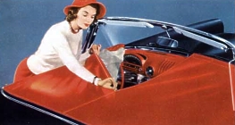 Image: 1956 Thunderbird Tonneau Cover