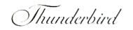 1961 Thunderbird script