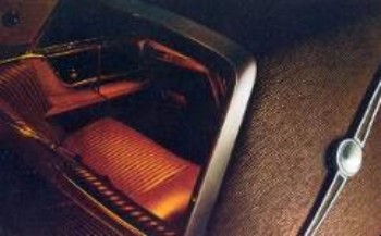 Detail of Thunderbird Landau Brown Vinyl Roof