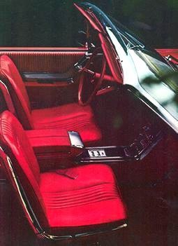 Red Vinyl interior trim